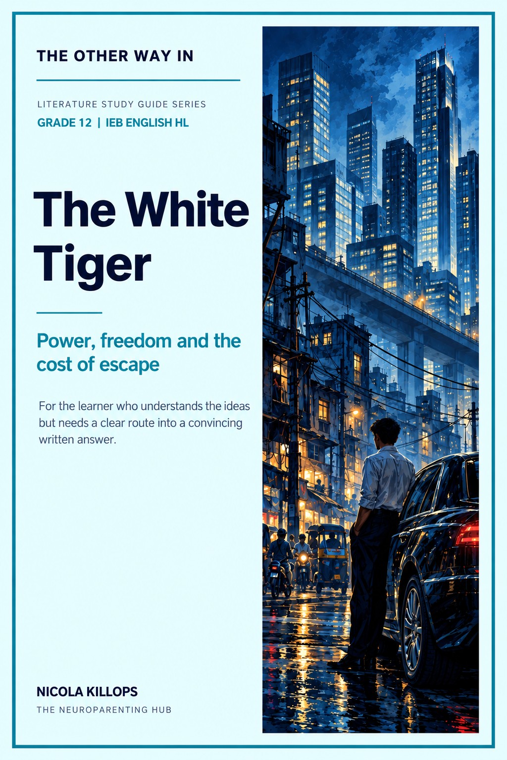 The White Tiger Grade 12 literature study guide, The Other Way In by Nicola Killops